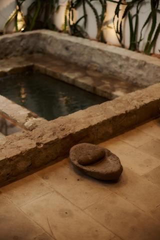 Casa Carmen Xólotl — photo 9