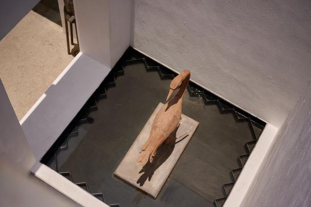 Casa Carmen Morelos — photo 16