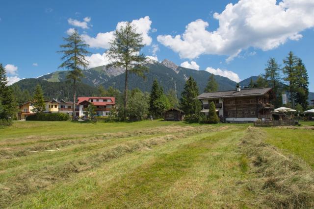 Landhaus Charlotte am Geigenbuehel -Apartments — photo 12
