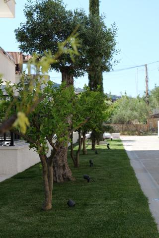 CITADEL Heritage Hotel Berat — photo 10
