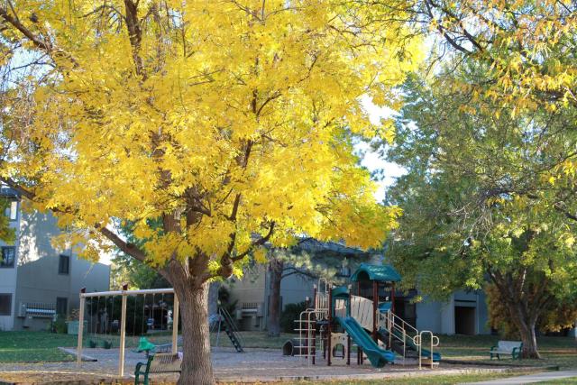 Boulder Twin Lakes Inn — photo 15
