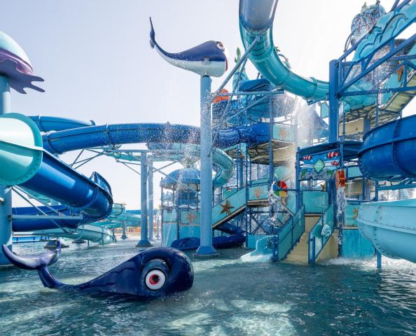 Pickalbatros Sungo Club Aqua Park - 24 HRS All Inclusive — photo 5