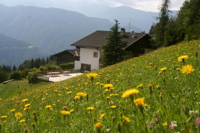 Biogasthaus Plonerhof "sweet Dolomites view" — photo 8