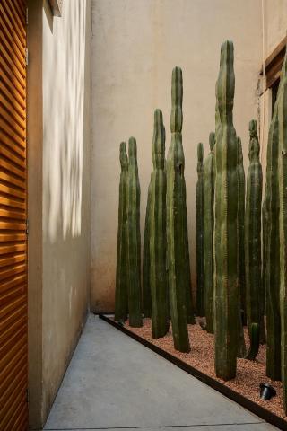 Casa Carmen Reforma — photo 11
