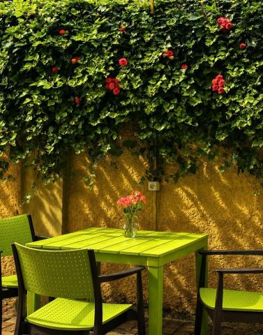 Hotel Jija Gold Kobuleti — photo 19
