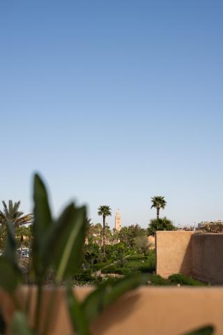 Riad Le Saadien ,Adult only — photo 13