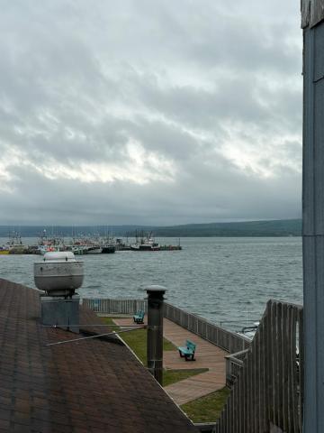 Shoreline Suites — photo 20