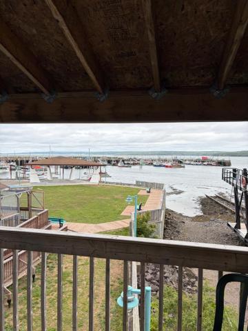 Shoreline Suites — photo 15