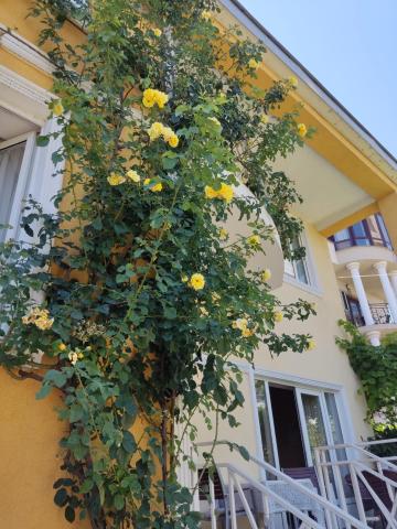 Boutique Hotel Eco-House 25 Tbilisi — photo 13