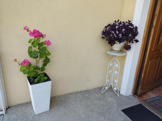 Boutique Hotel Eco-House 25 Tbilisi — photo 11