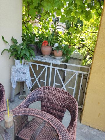 Boutique Hotel Eco-House 25 Tbilisi — photo 10