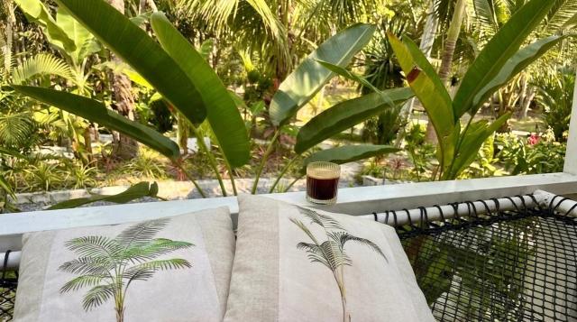 Secret Palm — photo 13