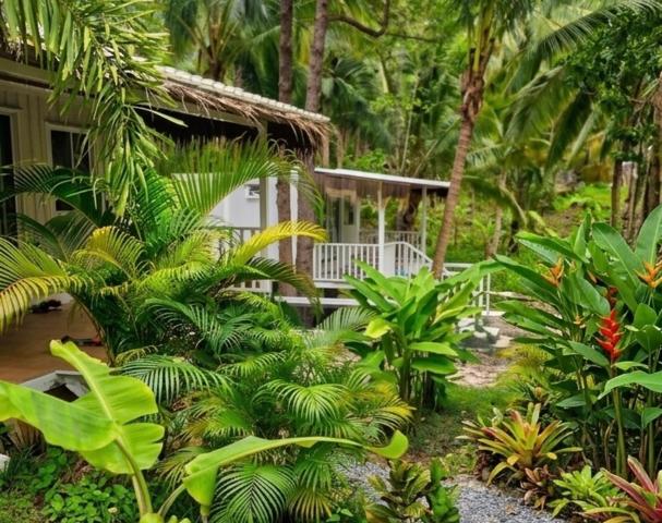 Secret Palm — photo 12