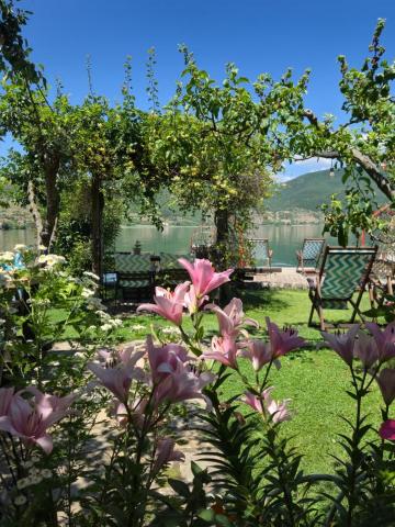 Guest House Lin — photo 16