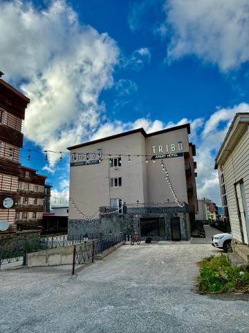 Apart Hotel TRIBU Bakuriani — photo 1