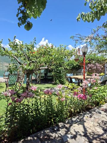 Guest House Lin — photo 9