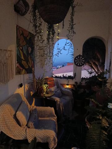 Acoran Family Ocean View Guest House With Daily Yoga Practice Included North Gran Canaria PRIVATE ROOM PET FRIENDLY — photo 5