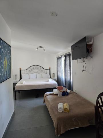 Hotel Gerald — photo 17