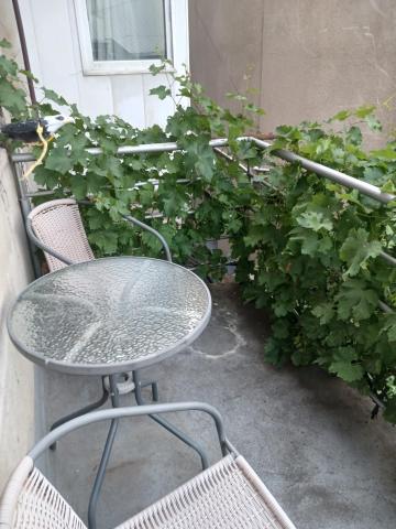 Hotel White Neptun Georgia Tbilisi — photo 16