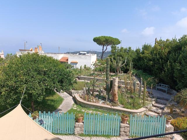 Villa Olivia Residence Ischia - nel Verde con Piscine e Vista Mare — photo 5