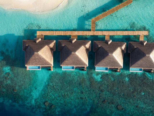 Mirihi Island Resort — photo 11