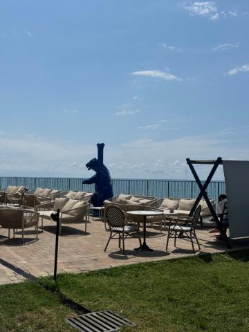 Bamboo Beach Tsikhisdziri — photo 11
