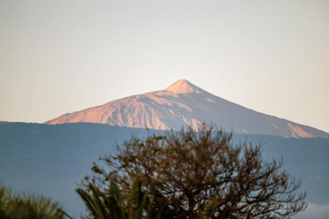 O7 Tenerife — photo 23