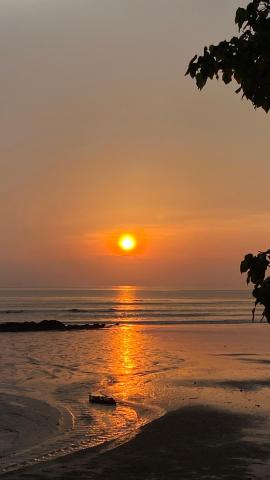 Coconut Lanta Resort @Klong Dow beach — photo 9