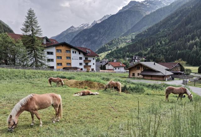 Hotel Lärchenhof — photo 9