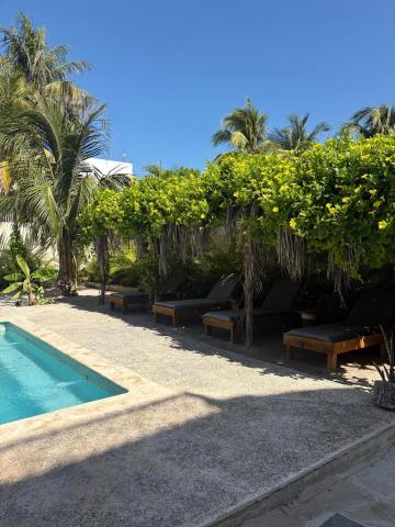 Mexhe Hotel El Cuyo — photo 9