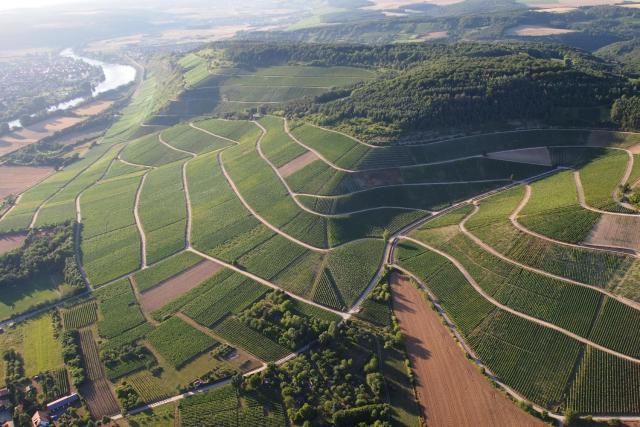 Pension Weingut Schwab — photo 21