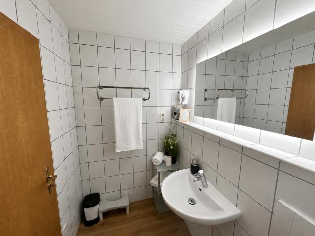 Pension Stadt Mannheim — photo 8