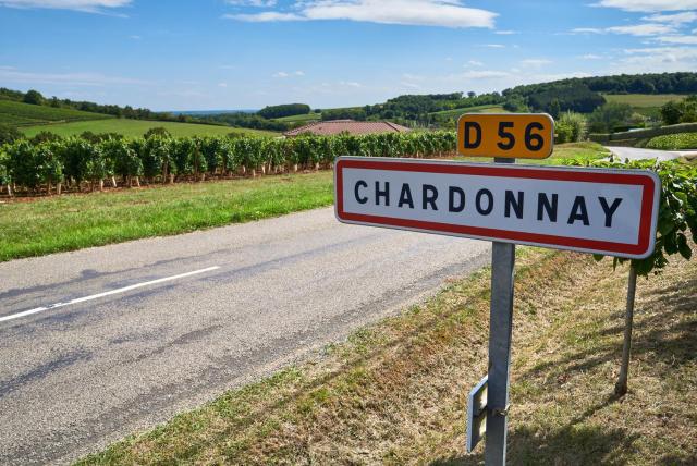 Le Chardon — photo 2