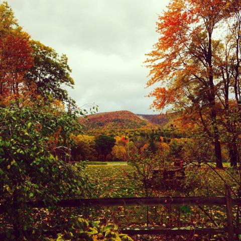 Aerie Inn of Vermont — photo 21