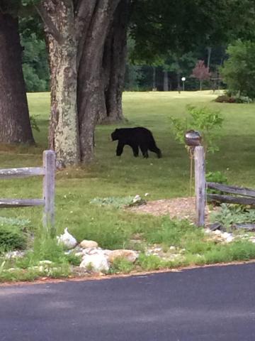 Aerie Inn of Vermont — photo 20