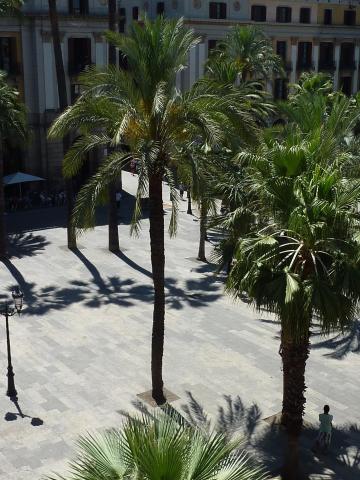 Roma Reial — photo 13