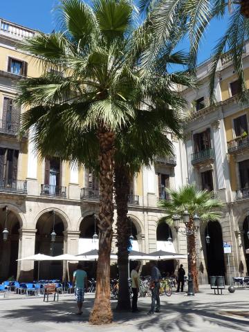Roma Reial — photo 11