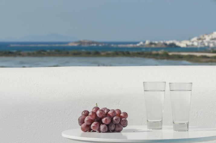 Naxian Spirit Suites & Apartments