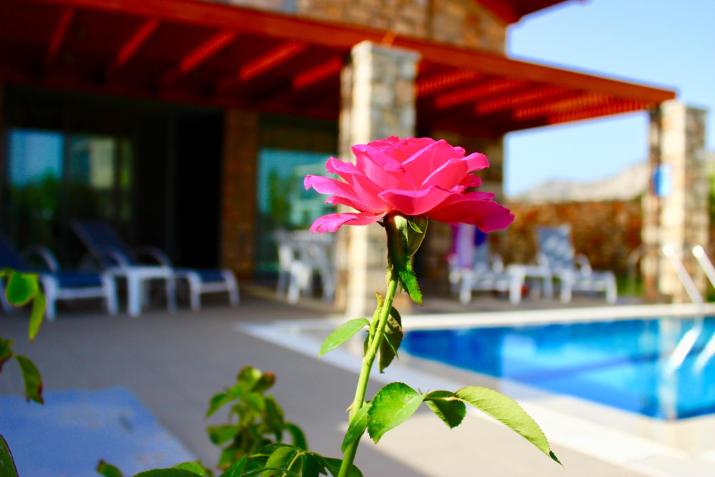Estrella Villas