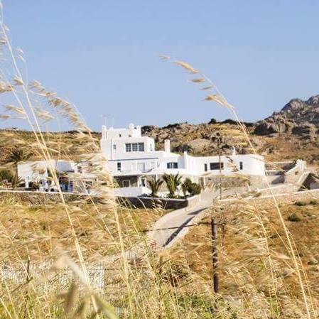 Ftelia View