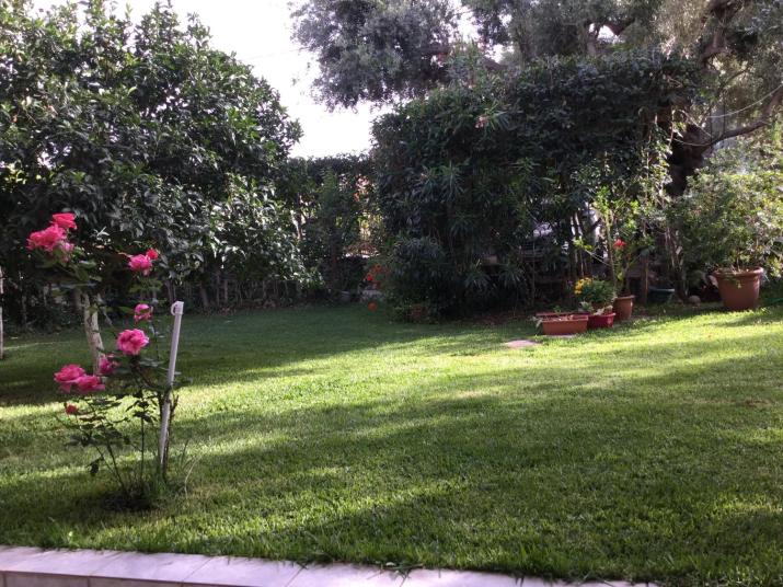 ntinas house