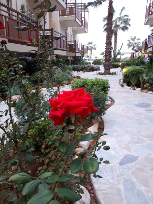 Ilian Beach & Apartments