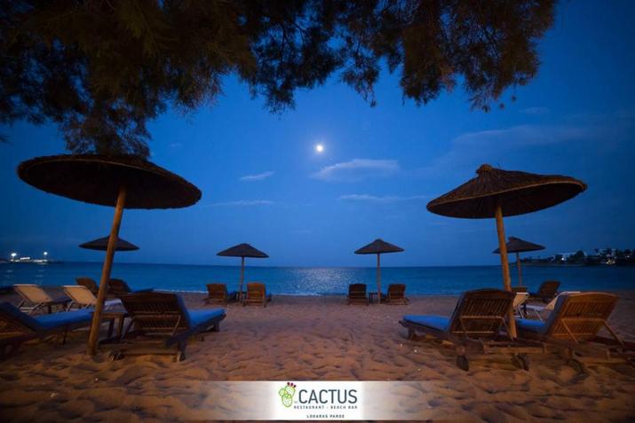 Cactus Beach Paros