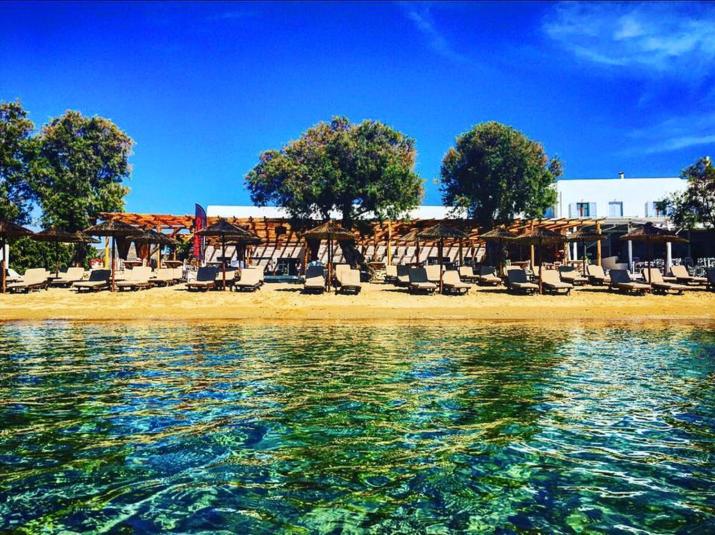 Cactus Beach Paros