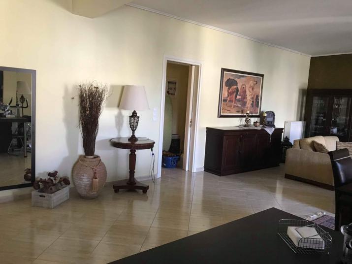 Luxury Apartment in the City