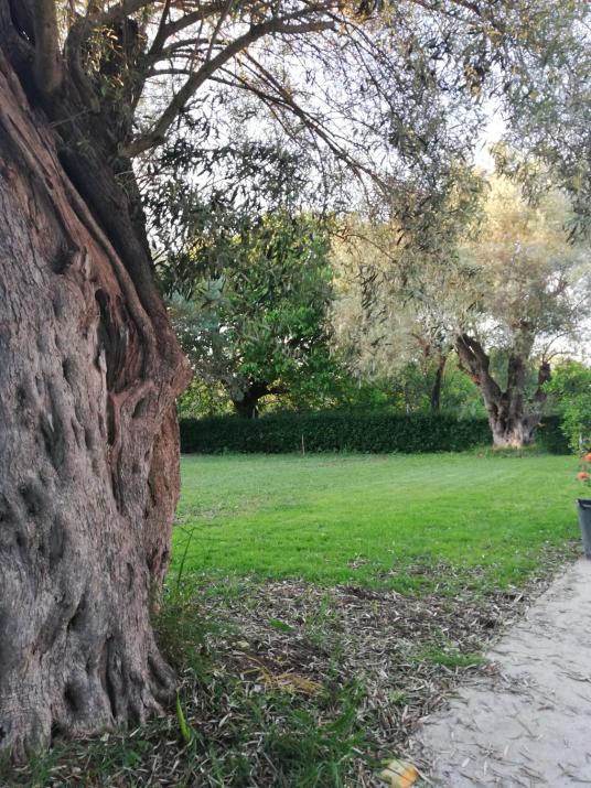 La Casa di Caterina