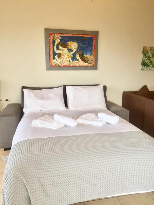 Nikol apartment
