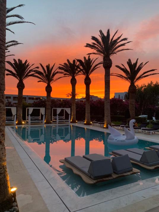 Drossia Palms Hotel and Nisos Beach Suites