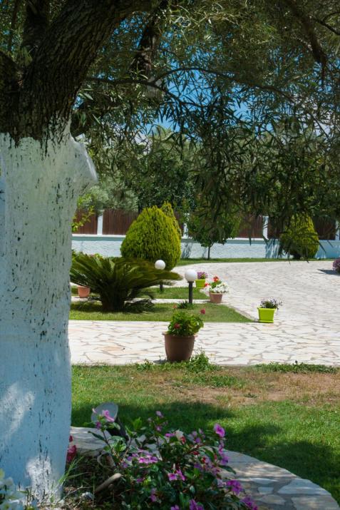 Eleana Studios