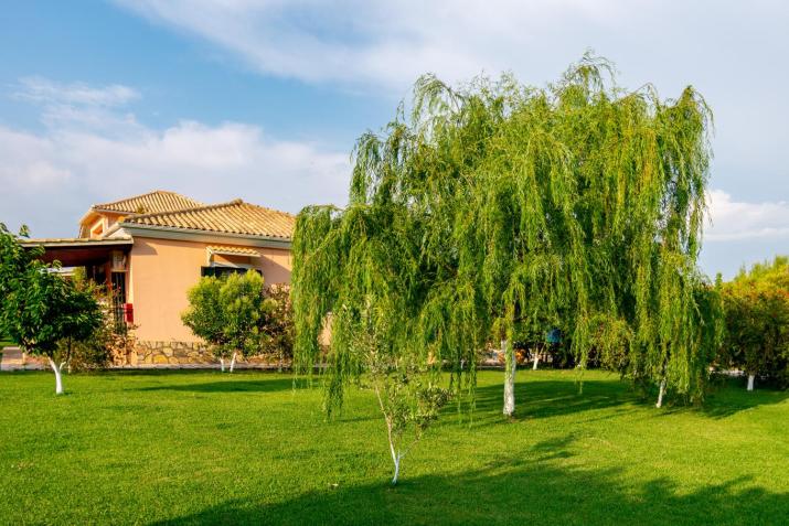 Evaggelia Studios